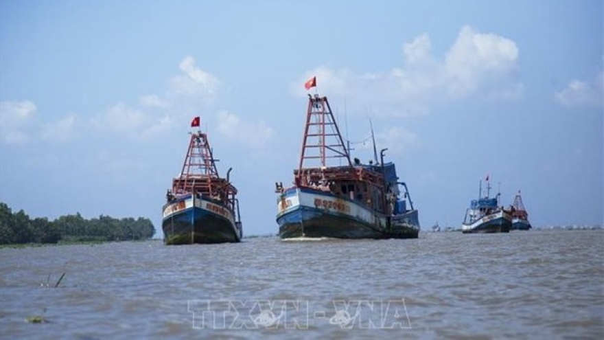 Vietnam’s border guards take tougher actions against IUU fishing